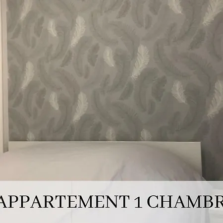 Bel Immeuble Renove Dans Le Coeur Historique Apartment